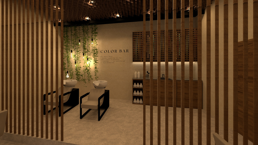 Salon Éclat: Vaskestation og color bar